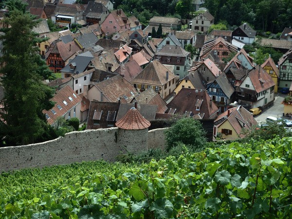 La Maison des Tanneurs à Ribeauvillé