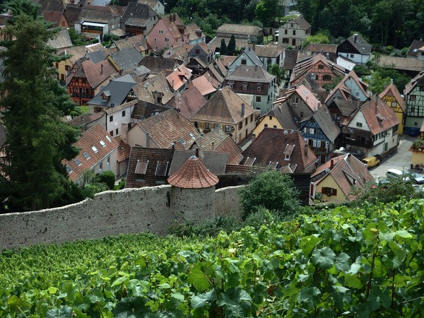 La Maison des Tanneurs à Ribeauvillé